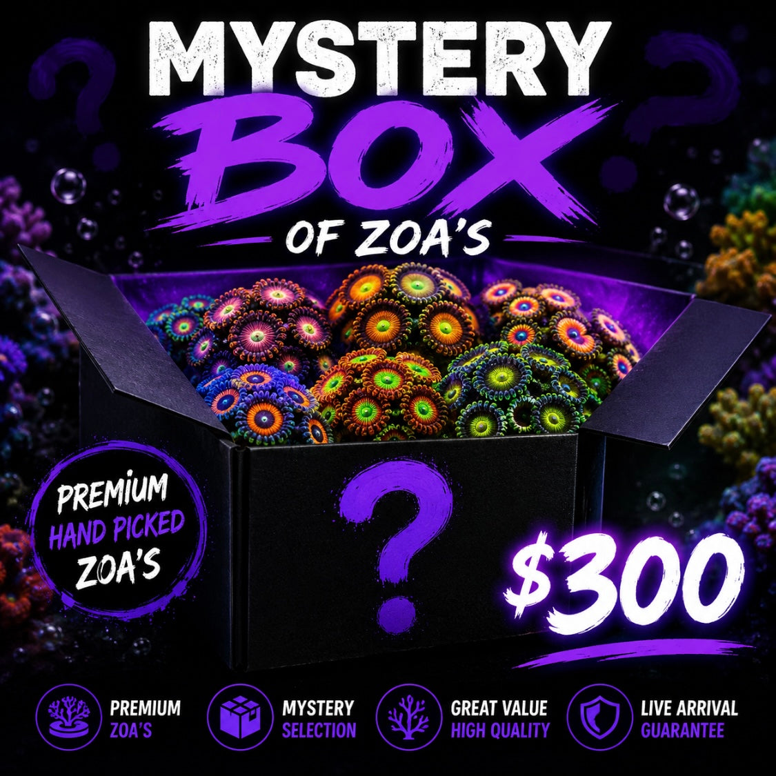 Mystery Box - Zoa Pack (click here for more information)