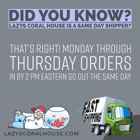 Have ? about shipping. Open for info