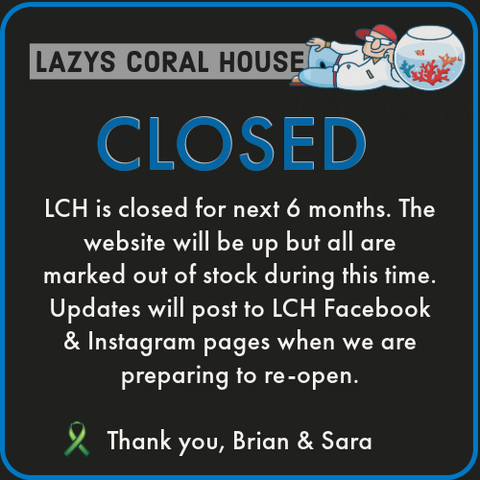 LCH is Closed