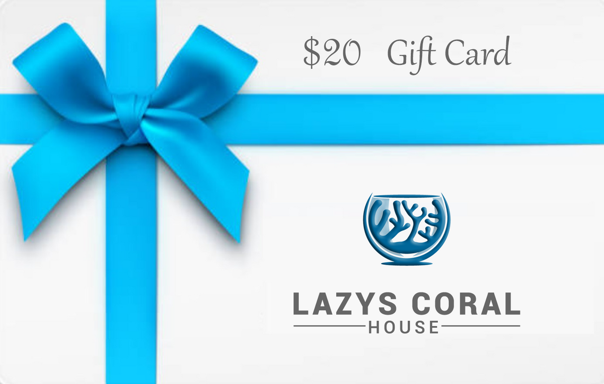 Lazys Coral House Gift Card at Lazy's Coral House